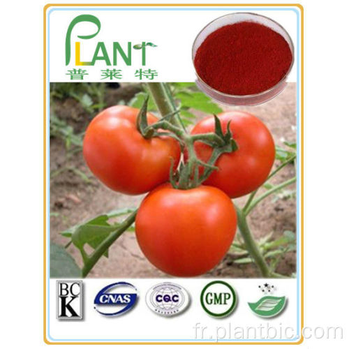 Poudre de tomate 100% de qualité alimentaire